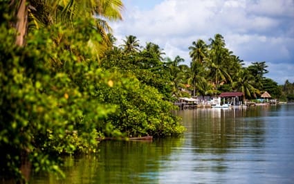 Massagueira Alagoas