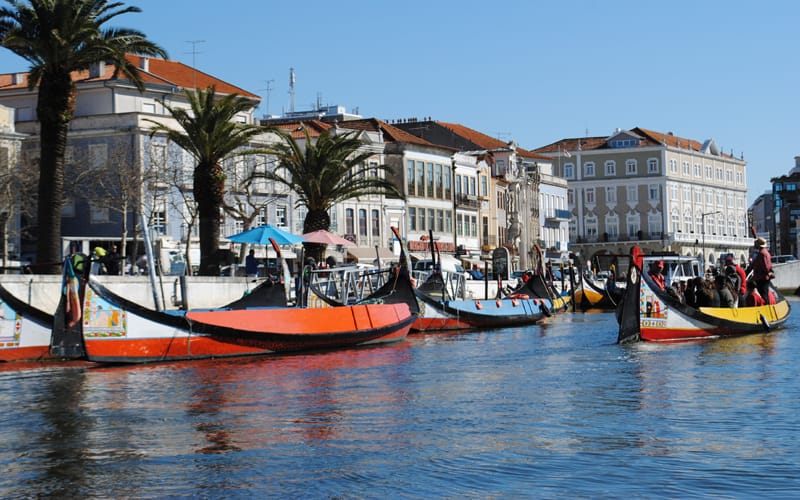 Moliceiros em Aveiro
