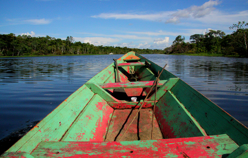 As águas da Floresta Amazônica