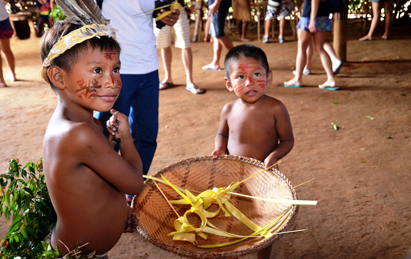 Aldeia indígena próximo de Manaus
